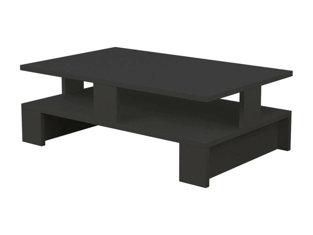 Parisianestop Coffee Table, Magazine Rack for Sofa, Living Room Shelf, 80x50x28 cm, Anthracite, 95852GDKG