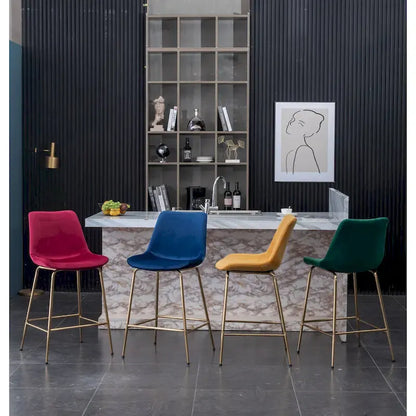 Roundhill Furniture Aufurr Modern Velvet 26.50 Counter Height Stool (Set of 2)