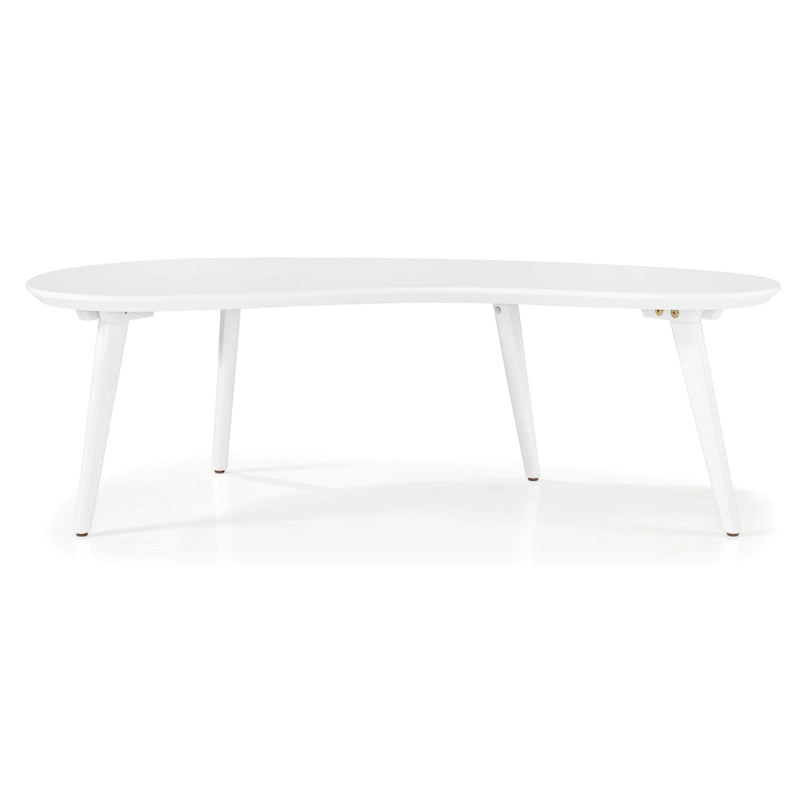 Mid Century Modern Coffee Table