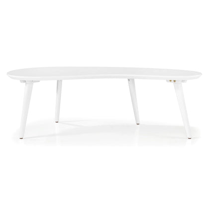 Mid Century Modern Coffee Table