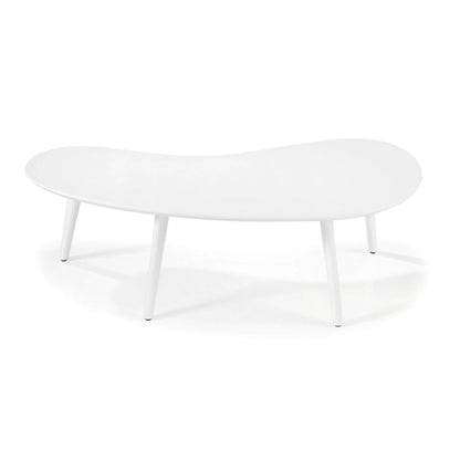 Mid Century Modern Coffee Table