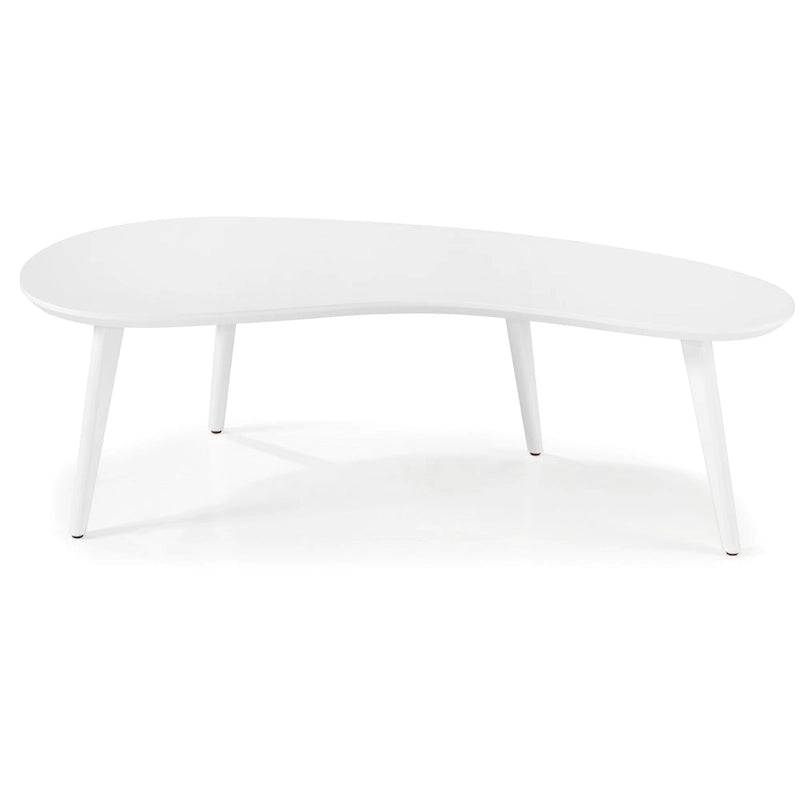 Mid Century Modern Coffee Table