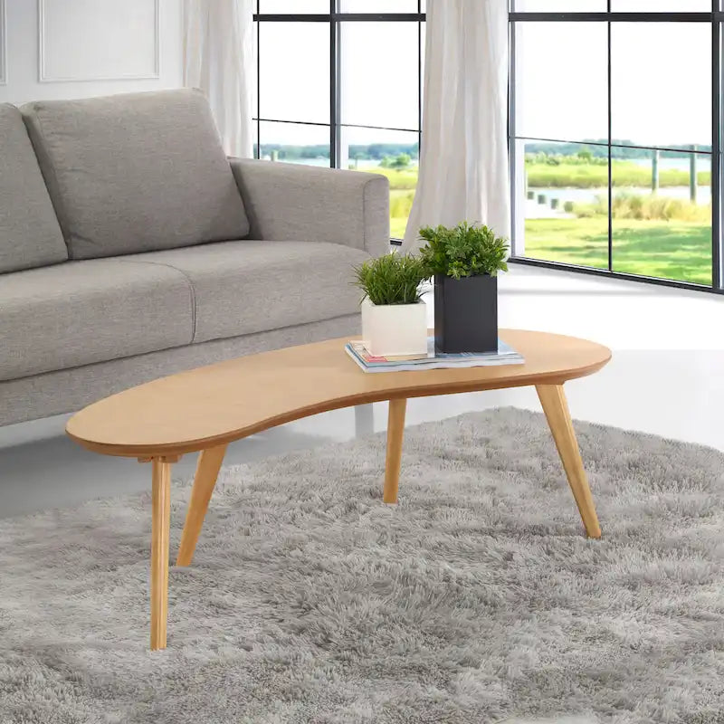 Mid Century Modern Coffee Table