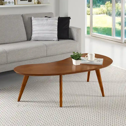 Mid Century Modern Coffee Table